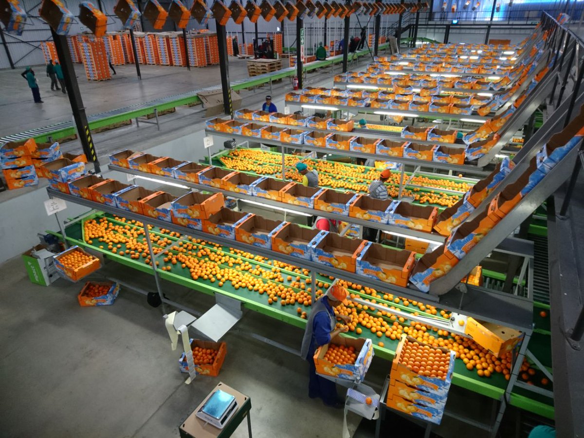 Joe Raspel tweet media