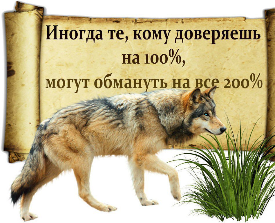 Картинки доверие и обман, открытки
