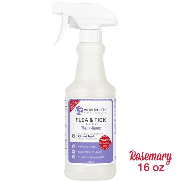 Just Paws Training (justpawstrain) Twitter