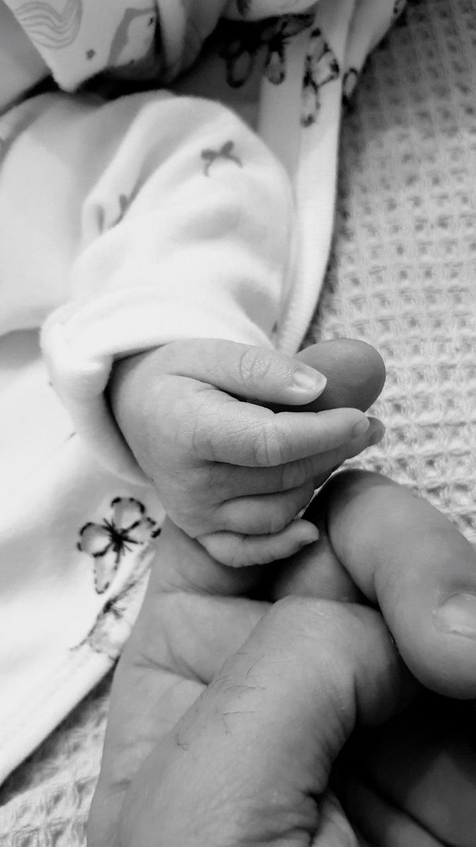 Hassanelshafei's tweet photo. Welcome Alia Hassan El Shafei to this world. You have my unconditional love ♥️ https://t.co/l4wl4JwwVp