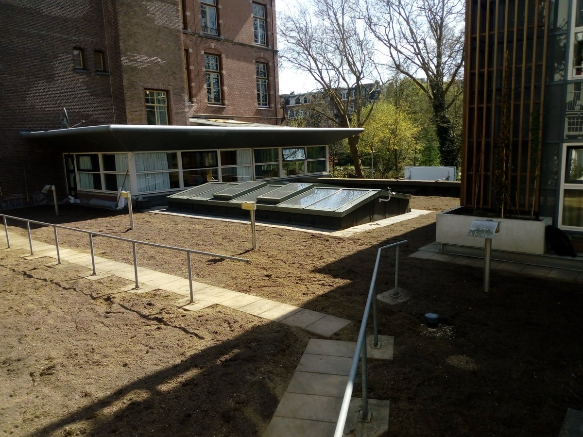 BioDaken020's tweet photo. @TessaDuste yeah..... preparing a new #greenroof for your company today :) https://t.co/DKYDYoslIh