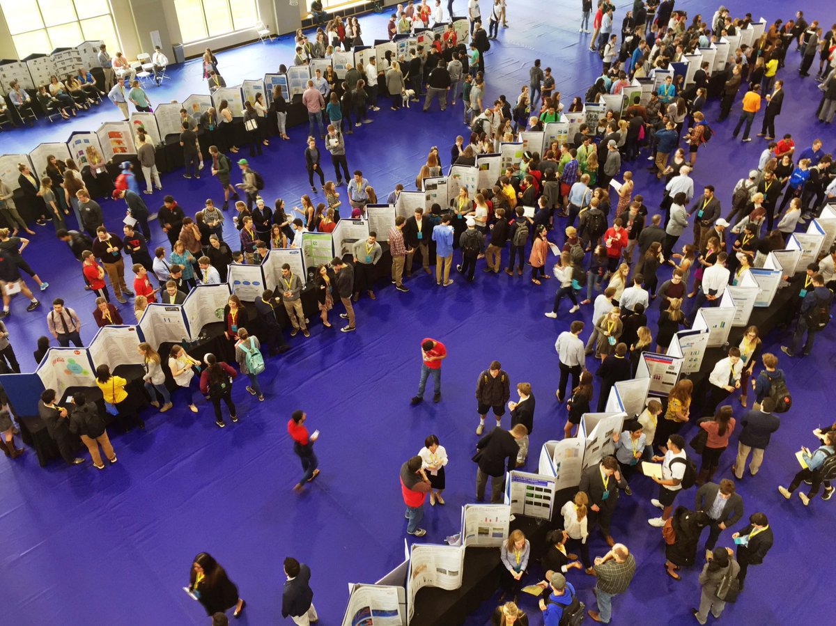 UDaytonCAS's tweet photo. Impressive displays of @univofdayton undergraduate student research across the arts, sciences, humanities and social sciences at @UDstander Day! #Stander2018 https://t.co/isUFdcZbKr