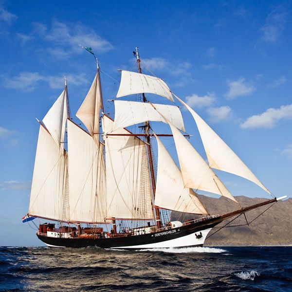 NOLA300th's tweet photo. The Tall Ships are coming! And so are the Navy Ships! Things are getting nautical this weekend, so be on the lookout for chances to board these vessels this weekend. https://t.co/dVo1HIP1cq https://t.co/qryz2jdGy3