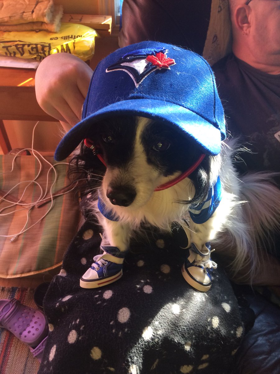 angel_manderz's tweet photo. #KCTOR
@bluejays
My puppy https://t.co/2kntnkO7G3