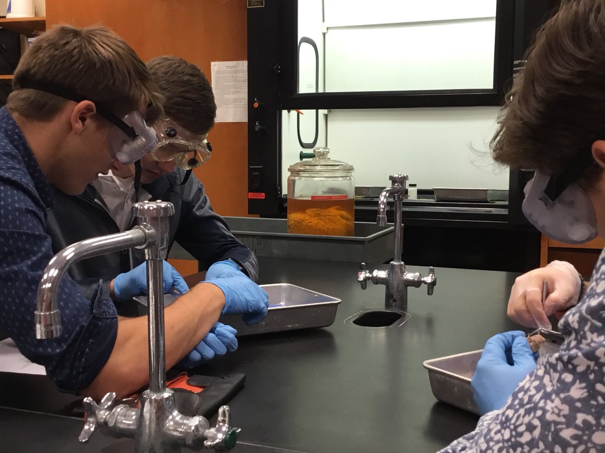 alleganycollgmd's tweet photo. Presentations on Cybersecurity and other Computer Science programs, as well as hands-on activities in the sciences; chemistry and Anatomy & Physiology.
#EngageYourFuture #alleganycollegeofmaryland #ExperienceACM #DiscoverACM #collegevisit https://t.co/PwtReyouGW