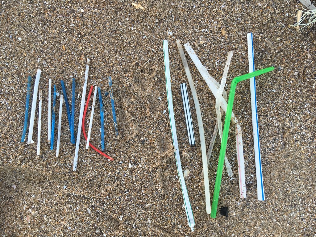 Plastic Free Peninsula, Gower tweet media