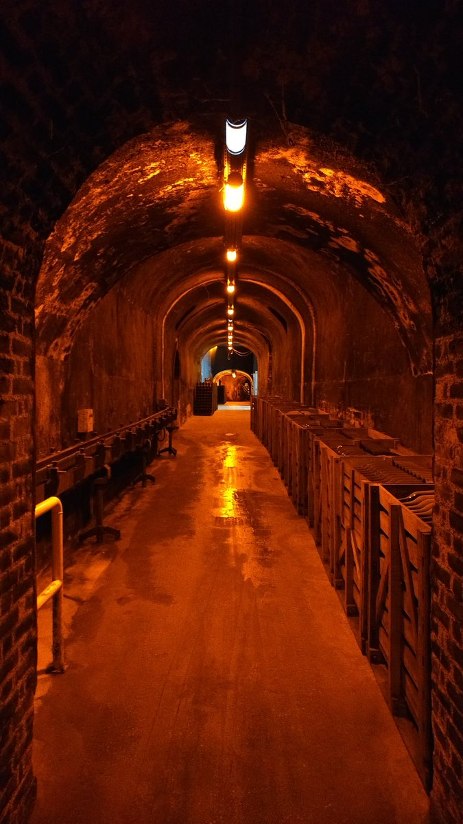 Andrew Ferguson tweet media