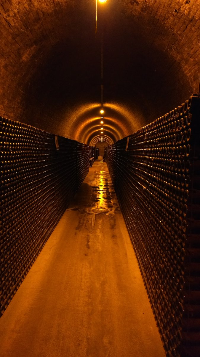 Andrew Ferguson tweet media