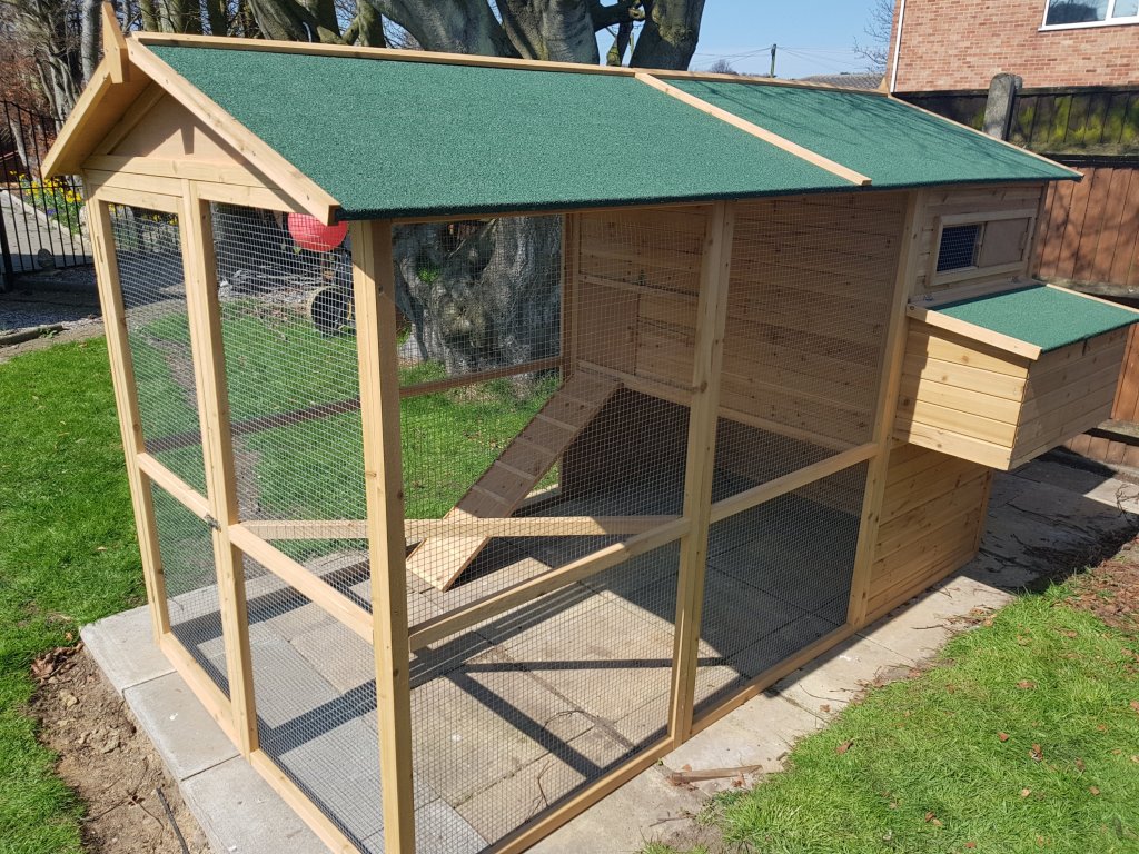 theflatpackfix's tweet image. Poultry Paradise theflatpackfixer.com/2018/04/18/pou…