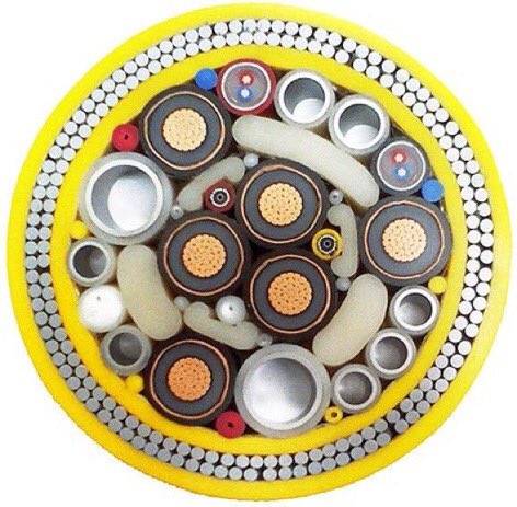farbodsaraf's tweet image. The cross-section of undersea cables powering the internet