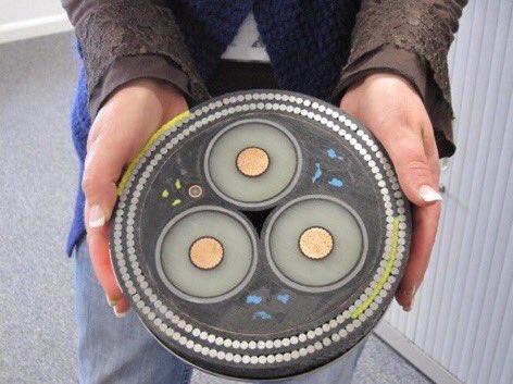 farbodsaraf's tweet image. The cross-section of undersea cables powering the internet