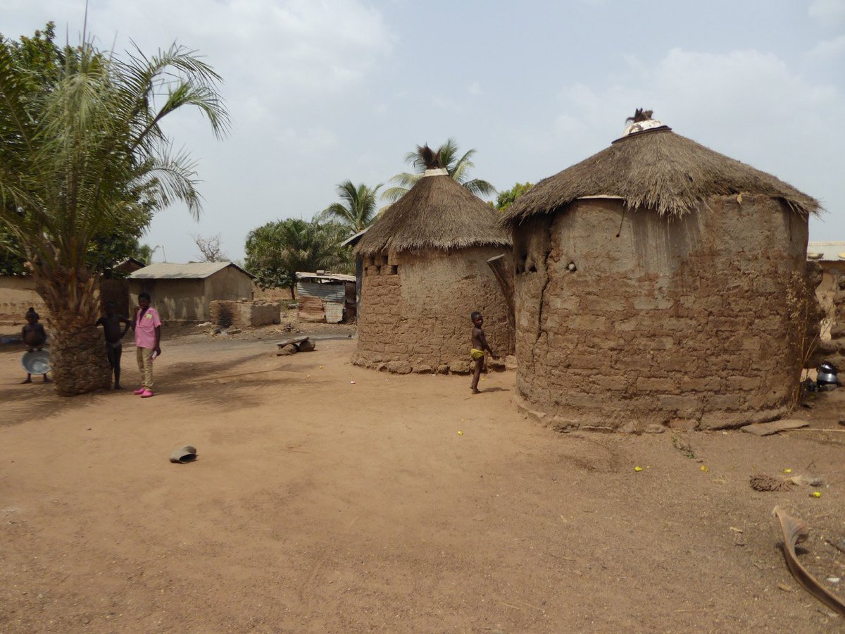 Caro Nut tweet media