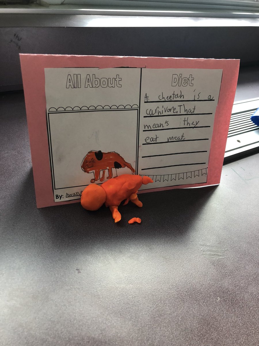 TeamRuklick's tweet photo. We have been researching animals! The final product and creativity in our non-fiction project is amazing https://t.co/sbOEoNBtwj