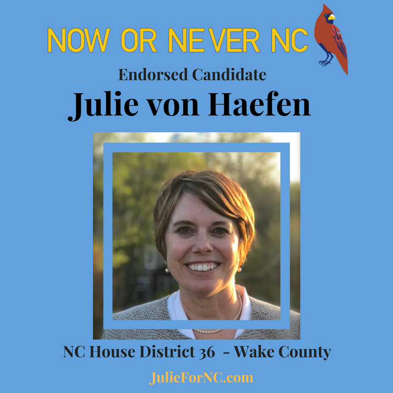 NoworNeverNC's tweet photo. Julie von Haefen is a fierce advocate for NCโs public schools who will bring her experience as an attorney, parent and state PTA leader to the NC House to #representNC. Learn more about Julie at https://t.co/5L2VHqKbtD #NCPol @juliefornc https://t.co/Nqe8fwxEOj