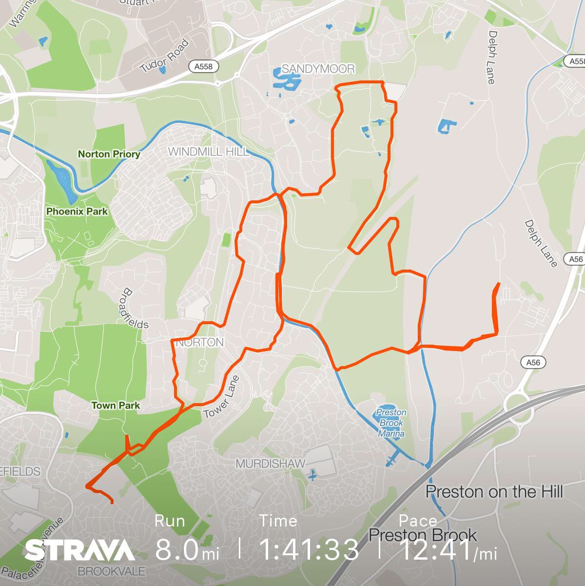 lou shannon tweet media