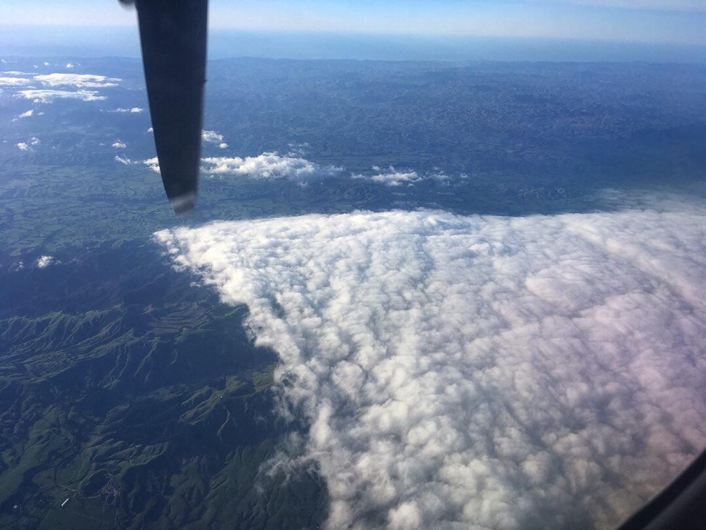 SteveGuinness tweet media