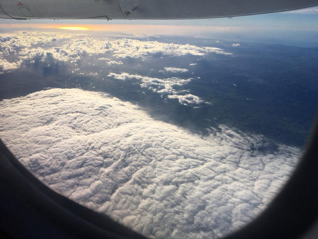 SteveGuinness tweet media