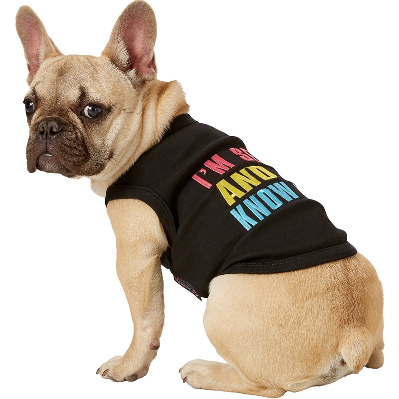 pupaholic's tweet photo. This is the perfect tank top to get your dog noticed, it shows all the pups who to check out! Share your pet's humor with this fun tank!

BUY NOW at https://t.co/DRrDS74WqD 

#dogclothes #dogtshirt #dog #lovedogs #pupaholiclovers #pupaholic #sexy 

@LaCorgi Gracie Geordi La Corgi https://t.co/yvqJMX7fH4