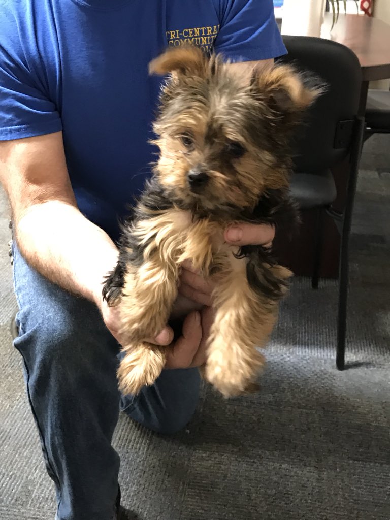 MatthewMillerpe's tweet photo. We had a special visitor after school today!😁 https://t.co/8F6VG7sInY