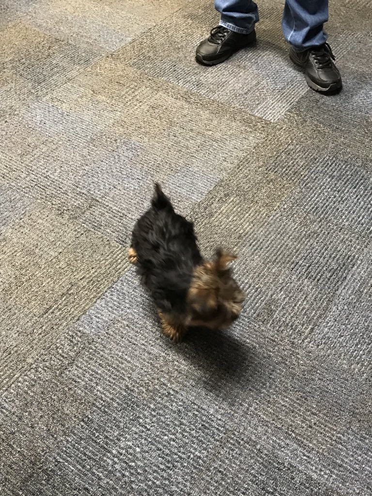 MatthewMillerpe's tweet photo. We had a special visitor after school today!😁 https://t.co/8F6VG7sInY