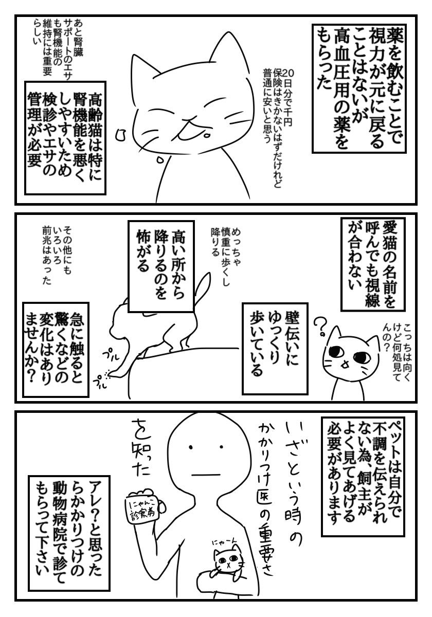 ウチの猫が失明した話。
もっと早く気付けていれば進行を遅らせることは出来たかもしれない。
猫飼ってるフォロワーさん多いし、腎機能は症状が出始めた時点でもうかなり悪い状態らしいので高齢の猫を飼ってる人は症状がなくても一度病院で診ても… 