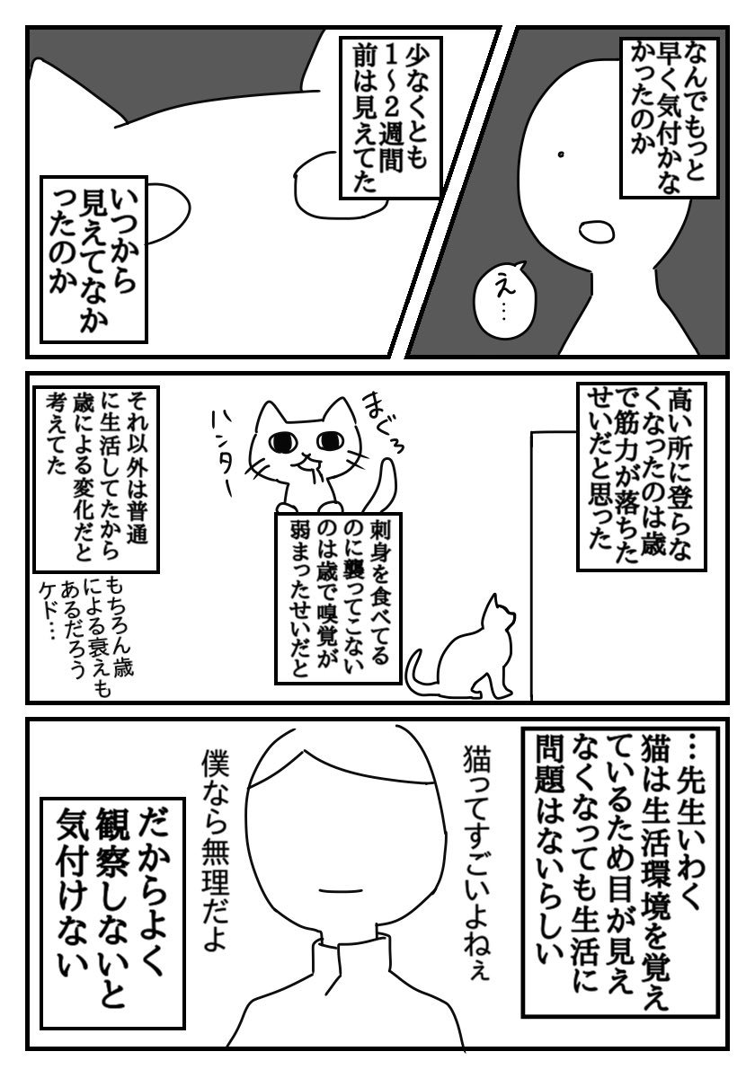 ウチの猫が失明した話。
もっと早く気付けていれば進行を遅らせることは出来たかもしれない。
猫飼ってるフォロワーさん多いし、腎機能は症状が出始めた時点でもうかなり悪い状態らしいので高齢の猫を飼ってる人は症状がなくても一度病院で診ても… 