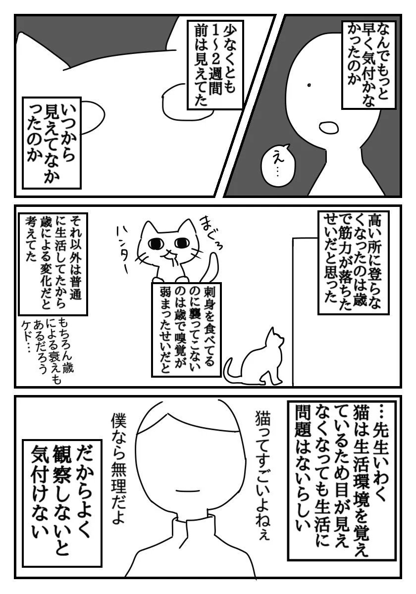 かかりつけ医大事！症状が出てからでは遅い…飼い猫が失明してしまった話