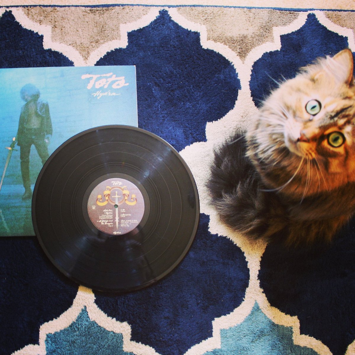 smithpercussion's tweet photo. Rocking out to some Toto with Willow this morning before lessons at @SoRFortWayne. Yes we both love Toto, and we don't care who knows it! Jeff Porcaro was one of the greatest drummers of all time! #Toto #Hydra #music #vinyl #vinylcat #studiodrummer #JeffPorcaro #smithpercussion https://t.co/rLX4reH06Z