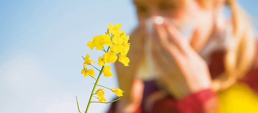 Sofibio's tweet photo. Lutter naturellement contre les allergies https://t.co/VgntGMJXQh https://t.co/gQThG2Ep0r