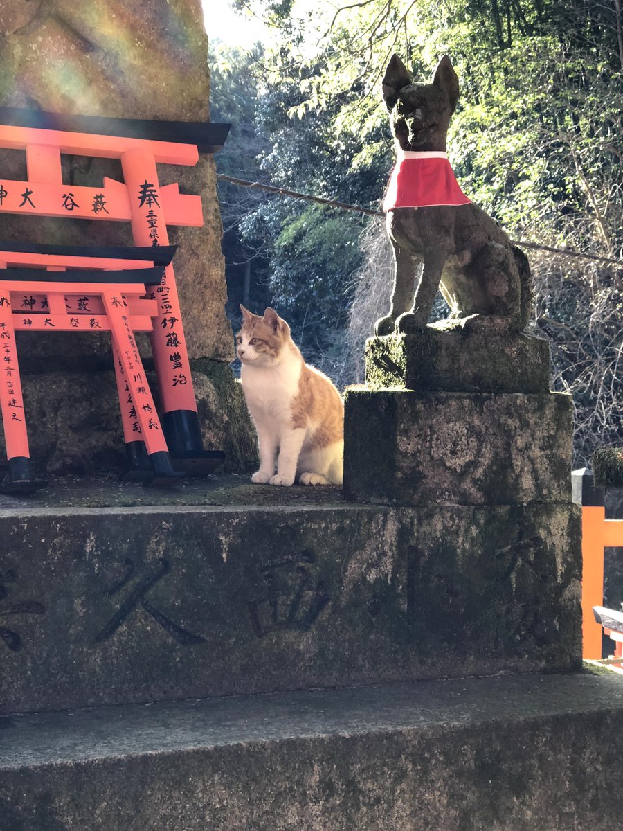 superluxatl's tweet photo. Our #leadanimator in #Japan! #exploretocreate #wednesdaywisdom #productioncompany #design #travel https://t.co/tZPwCD8CQU