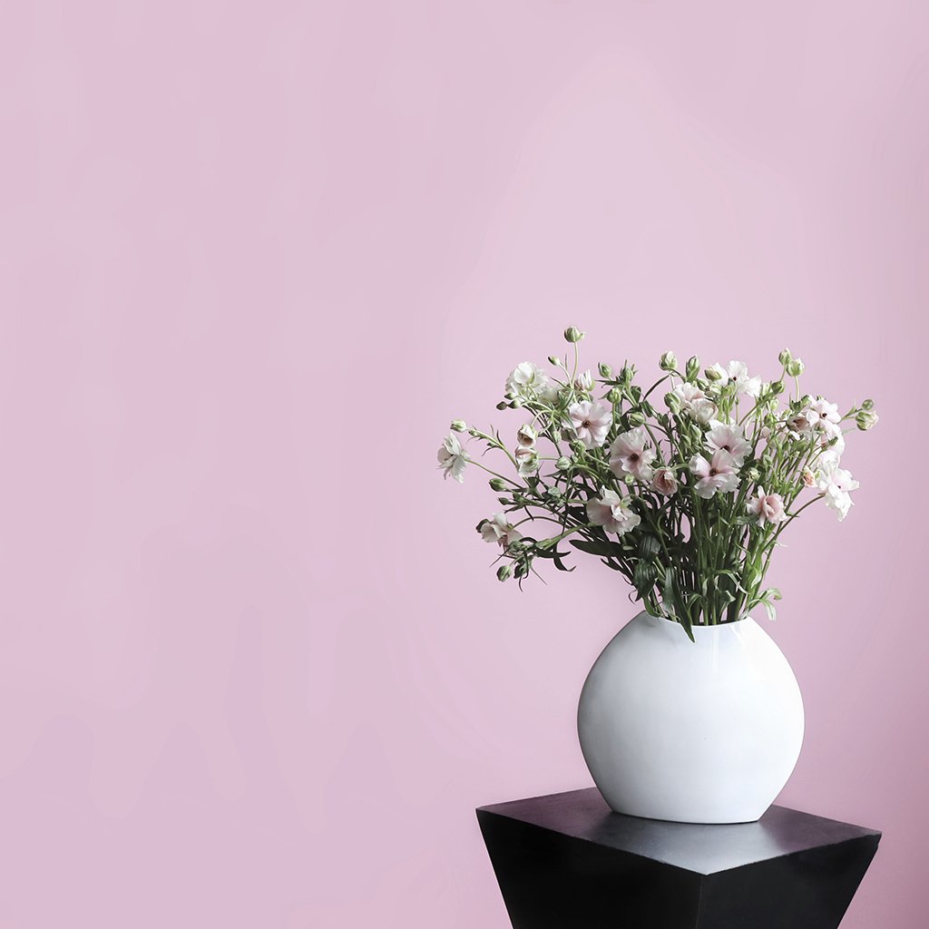 mcqueensflowers's tweet photo. Over on the blog, Butterfly Ranunculus, the hot new flower that's turning florist's heads 🌸💕https://t.co/GLO4AZTXWX 

#ButterflyRanunculus
#McQueensTheBlog https://t.co/JsFbBHW4nT