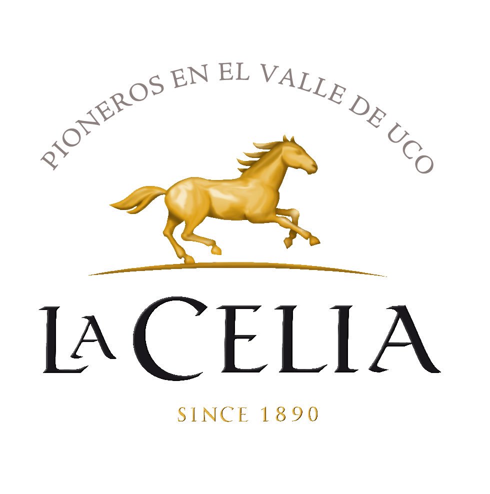 ElMercadostore's tweet photo. Hoy 19:hrs en Gorriti 4954 @ElMercadostore 4833-4343
#WineWednesday #SemanaDelMalbec #degustacion #miercolesalanoche #Mendoza #vino https://t.co/NvrdvU2tYi