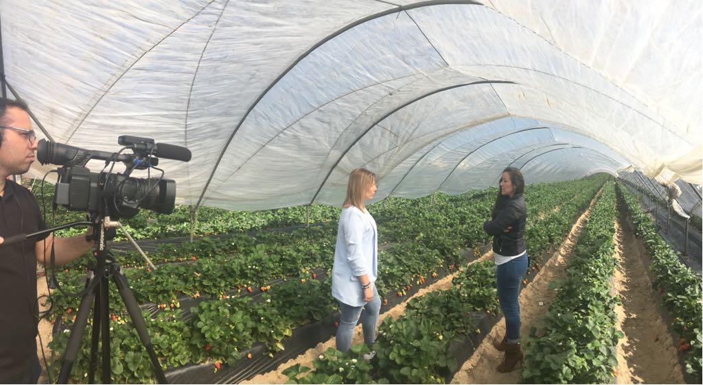 cunadeplatero's tweet photo. La directora de @5aldiaspain, Nuria Martínez, nos ha visitado para grabar un reportaje en el que os contaremos muchas cosas de Cuna de Platero.

Ademas, el #RestauranteFuentepiña nos ha deleitado con una receta con nuestros #frutosRojos. ¡Os lo enseñaremos pronto! https://t.co/BPVeO7ywym