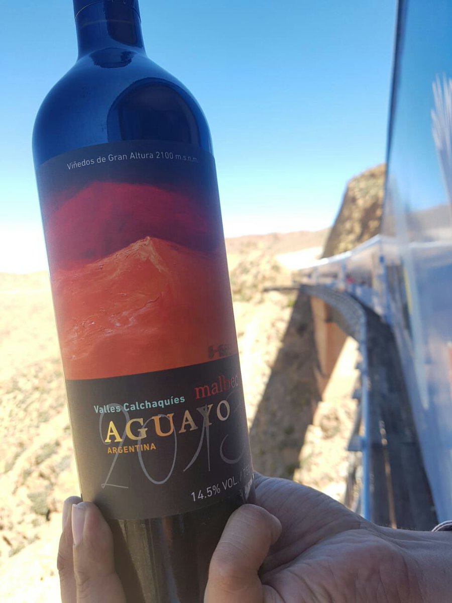 Ayer nos fuimos a festejar el #MalbecWorldDay de la manera mas extrema..!!  a 4220 m en el tren de las nubes!  #agustinlanuswines #terruñosdeextremaaltura #sunal #ilogico #aguayo
