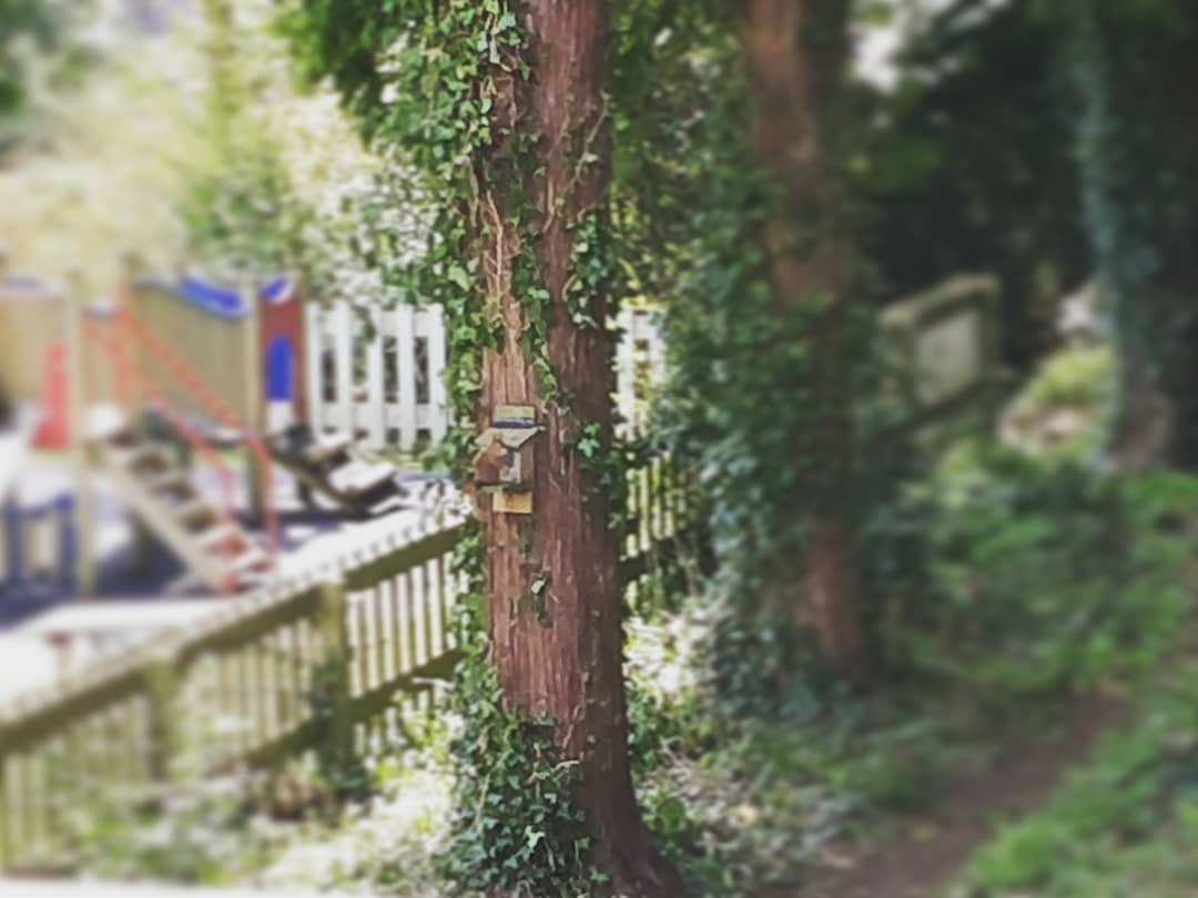 AngleseyArmsMB's tweet photo. Why not come and meet some of our regulars? The Squirrels that is 🐿️
(zoom in for better view)
#redsquirrel #squirrel #squirrelbox #redsquirrelbox #nuts #menai #anglesey #wildlife #beergarden #woods #resturant https://t.co/mlsJBpSBgn