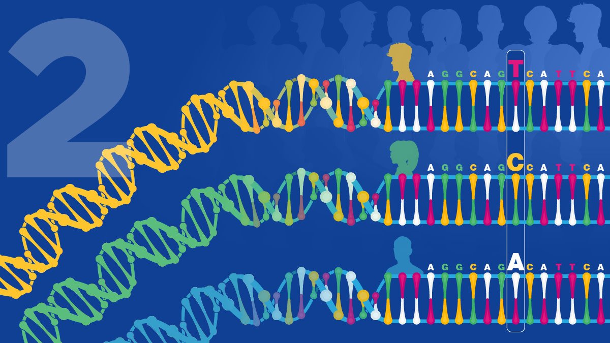 All humans are 99.9% the same - it's that 0.1% that makes you unique! bit.ly/2I7gGkx  #15for15 #DNADay18