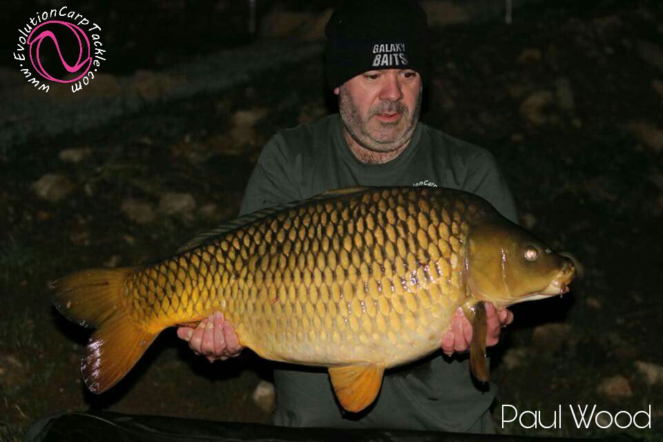 EvoCarpTackle's tweet photo. Team member Paul Wood had the pleasure of fishing an amazing venue, Dream Catchers Lake in France, working on their @FreeLineMag lake article. He managed 6 fish up to 31lb4oz, all failing to an array of different methods, baits tipped with Evo corn stacks

https://t.co/pJQKNvDNOj https://t.co/A0h2OYr9EP