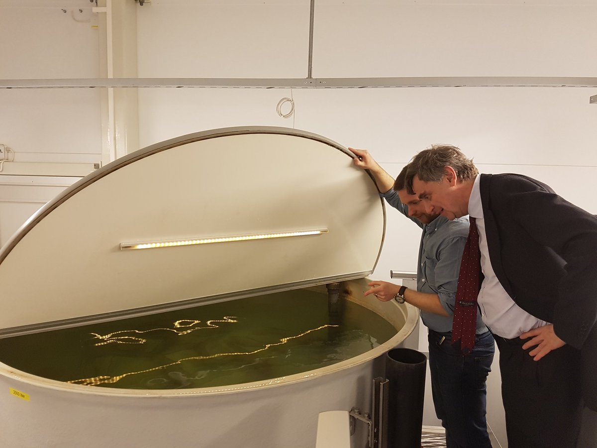 EUs delegasjon til Norge tweet media