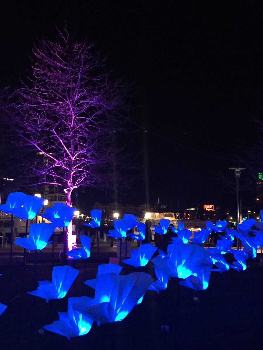 SouthernWag904's tweet photo. No lies, it was brisk at the #InnerHarbor last night to see @LightCityBmore in all its glory following the VIP party @Pier5Hotel. Great company &amp; warm Deedles Donuts did the trick! Go experience it! #GoandGlow https://t.co/068FcgxTQL