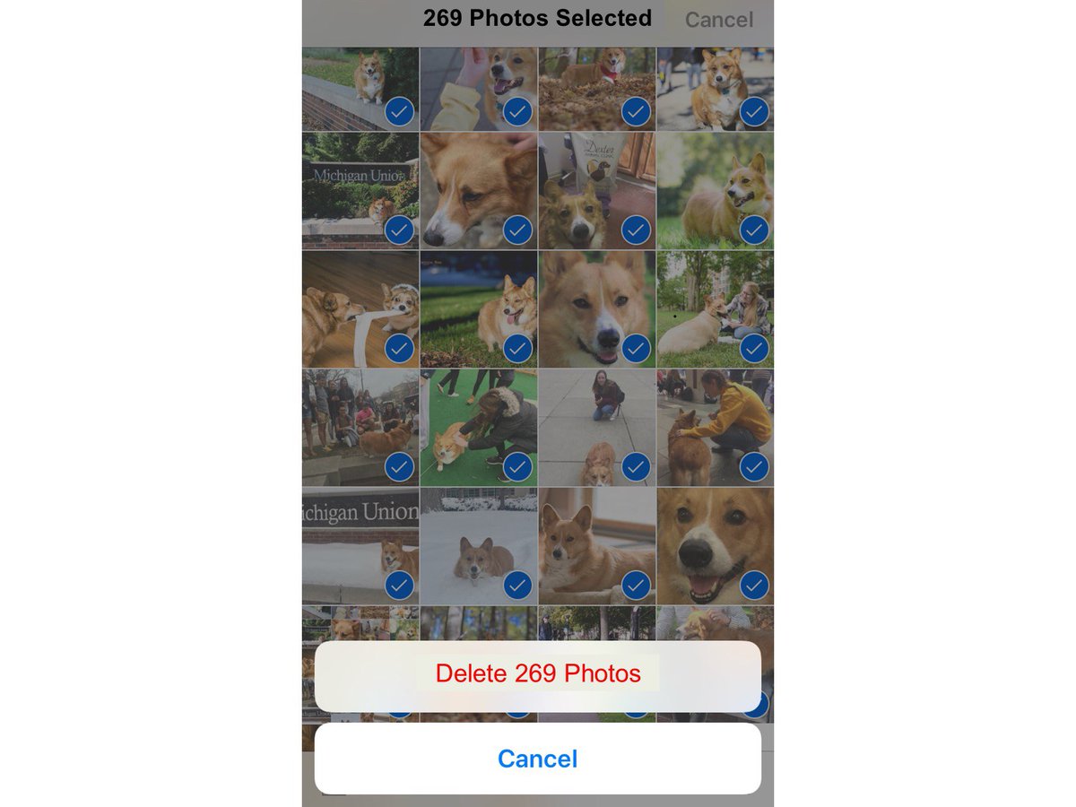 UMichStudents's tweet photo. friend: hey can i see your phone?

me: uh yeah, just a sec https://t.co/V5fyyhkXoh