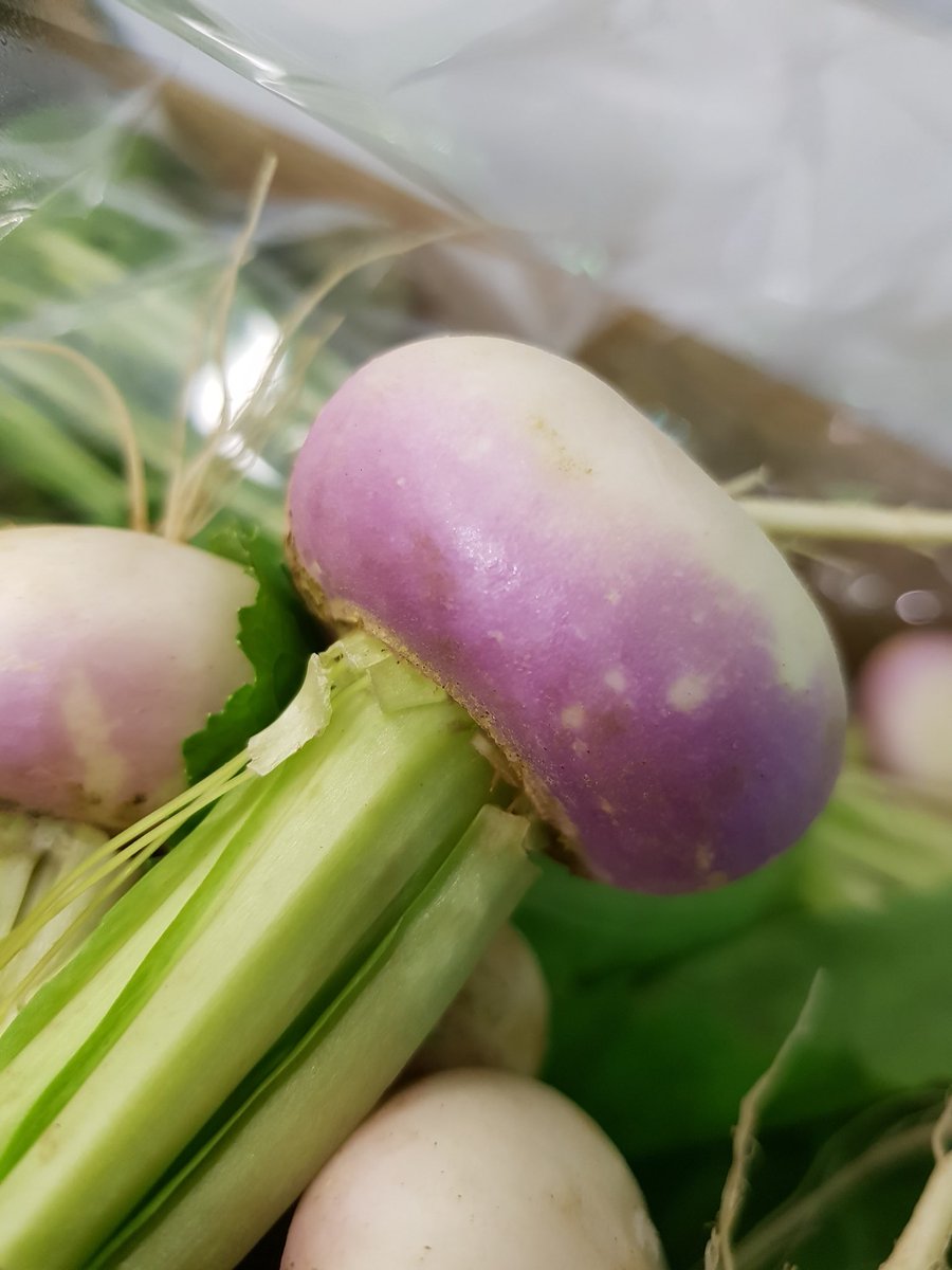 Lemarcheltd's tweet photo. The first of the English Baby Vegetables have arrived and these Bunch Turnips are the tops 👌🏻 #babyveg #restaurants #catering #chefs #market #produce #topqualityfood https://t.co/G4sJ7IHaLr
