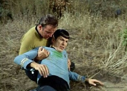 What Color is Spock'S Blood