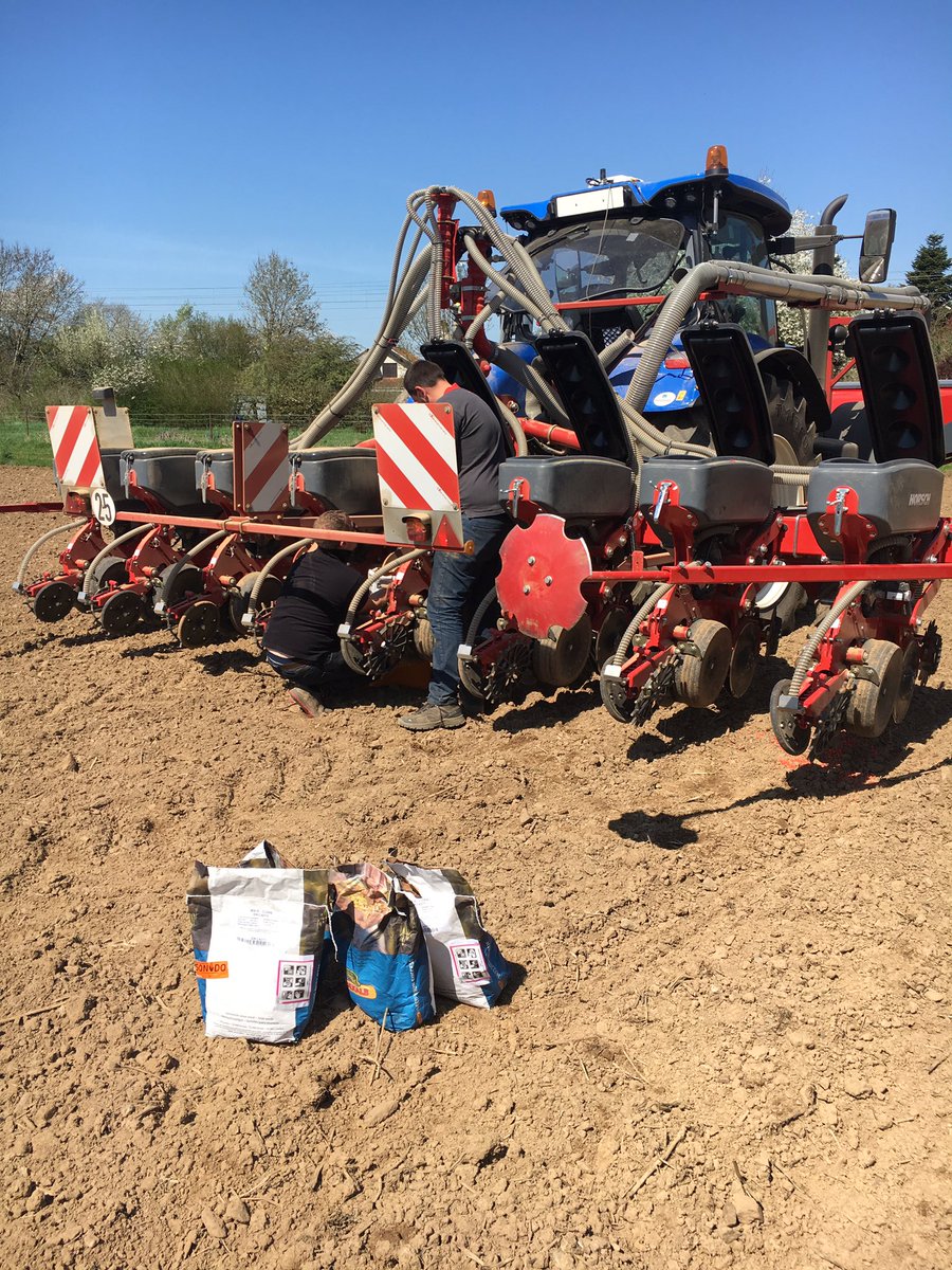 GouacheBenjamin's tweet photo. Notations floraison #colza le matin et semis essais #maïs l'après midi! Promis on vous réserve les meilleurs hybrides! #DEKALB https://t.co/eQzi529Bd9