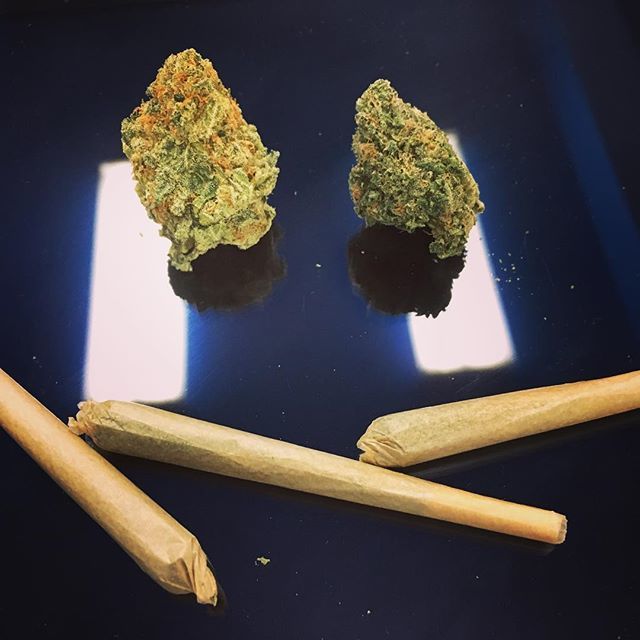 Lemon Hasplant and Pink Legend make a great Lemon Legend salad.  What would you cal your salad 🥗? Smile 😎 We are half way through the week! #highsocietytoronto #highsociety #skyhigh6 #weedmakeseverythingbetter 
#putagramonit #lemonhasplant #pinklegend ift.tt/2qIogdw