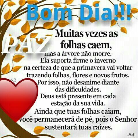 SheilaReginaSt1's tweet photo. @Binho66386968  https://t.co/mIVwKEkhES