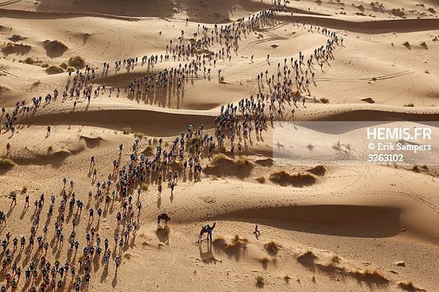 hemisfr's tweet photo. Direction le Marathon Des Sables 2018 pour la travel du jour ! Photo de Erik Sampers prise il y a 4 jours et qui est 3ème prix de la catégorie Sport (Singles) du Concours World Press Photo.

WoW 🇲🇦 #HemisTeam #MarathonDesSables #Morocco #VisitMorocco… https://t.co/ORBx5EYDZd https://t.co/quBfoM7EoU