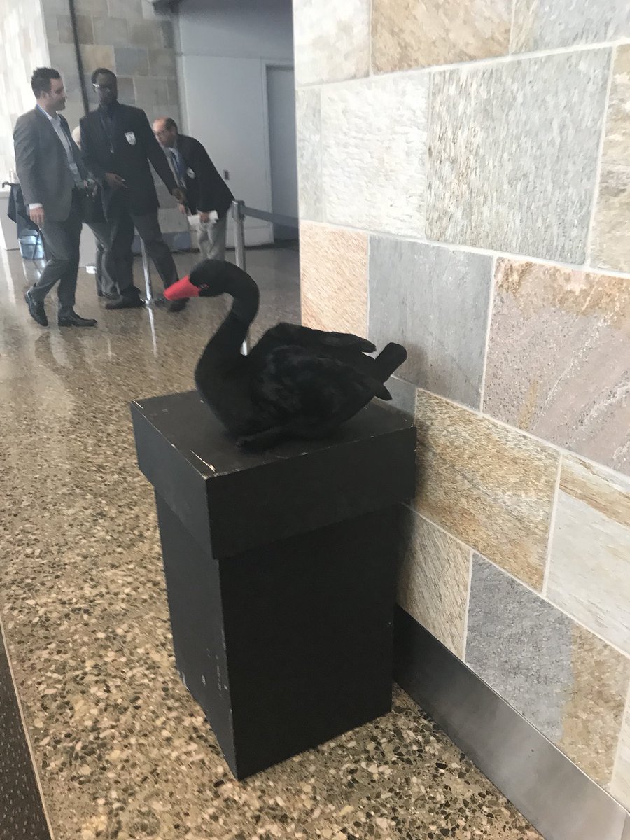 T0nyNels0n's tweet photo. #FindTheBlackSwans #RSAC #NopSec https://t.co/scXivlmawd