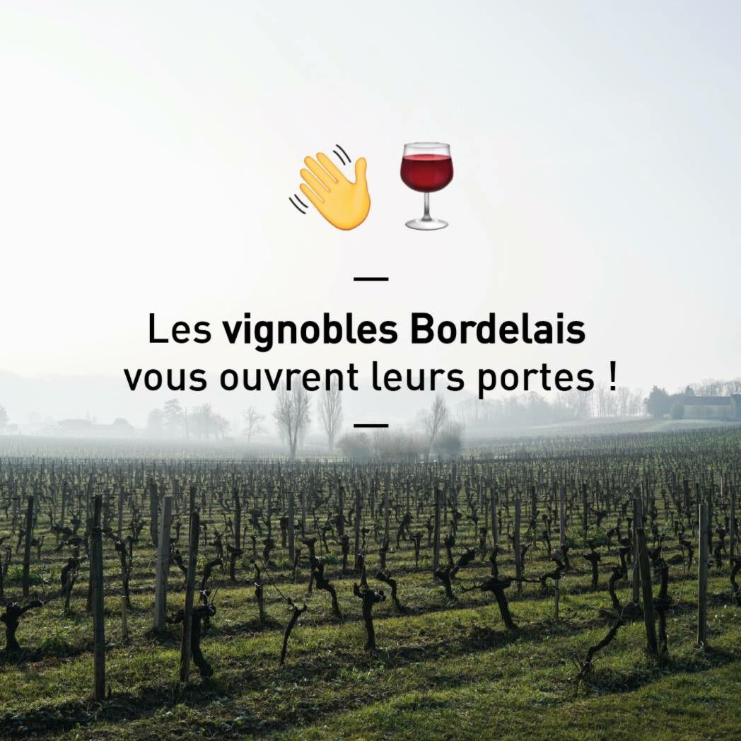 VinsdeBordeaux's tweet photo. La saison des portes ouvertes dans nos vignobles est arrivée, dégustations et découvertes au programme ! 🍷🖐️🌿🍇

Toutes les infos sur : https://t.co/OuLC5Hf1Xr https://t.co/HvXav8PAKg