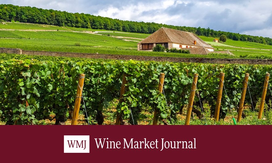 TheWMJ's tweet photo. The largest #Burgundy auction in @hdhwine history secured USD$7.2M this past weekend! Market advances of Burgundy have been incredible. Subscribe to see our Q1 wine market report and insights for Q2 #Rousseau #Leroy #Dujac #Mugnier #deVogue
Subscribe Now! https://t.co/8qVN0LyVtB https://t.co/uZOuhWLNbY