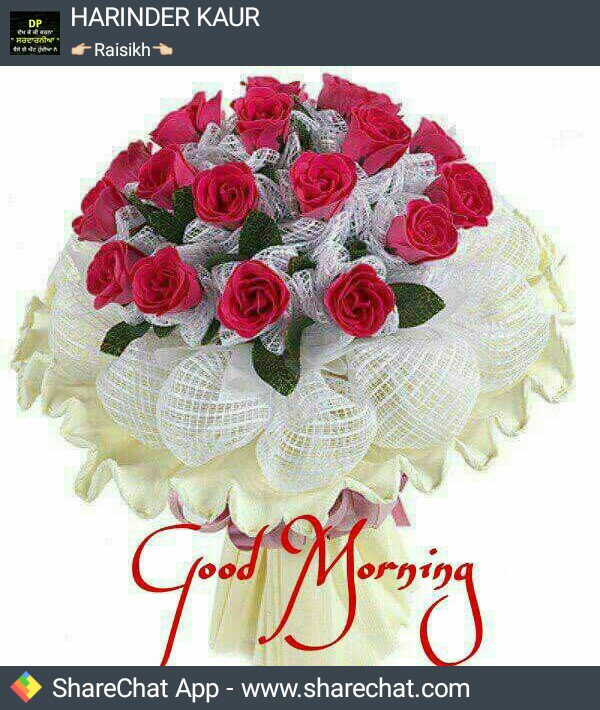 Sharechat Flowers Dp Girls Dp